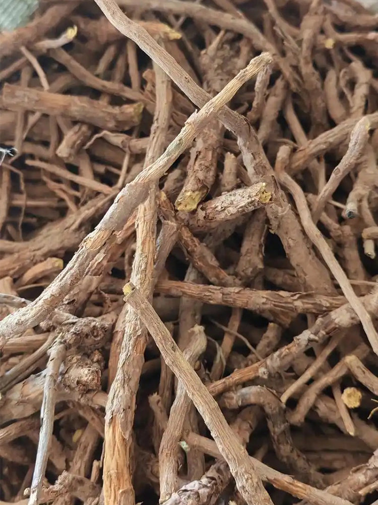 Baical Skullcap (Scutellaria baicalensis)