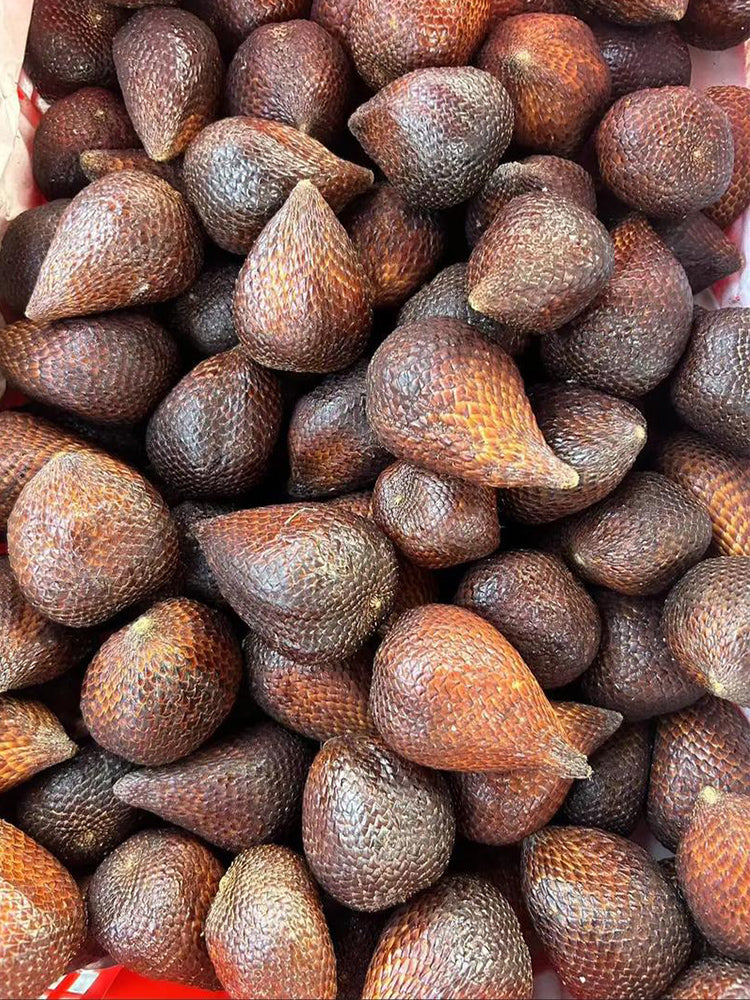 Salak Palm