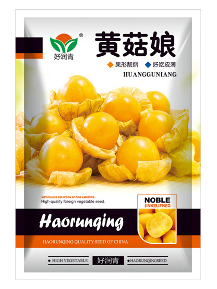 Groundcherry (Physalis pubescens)