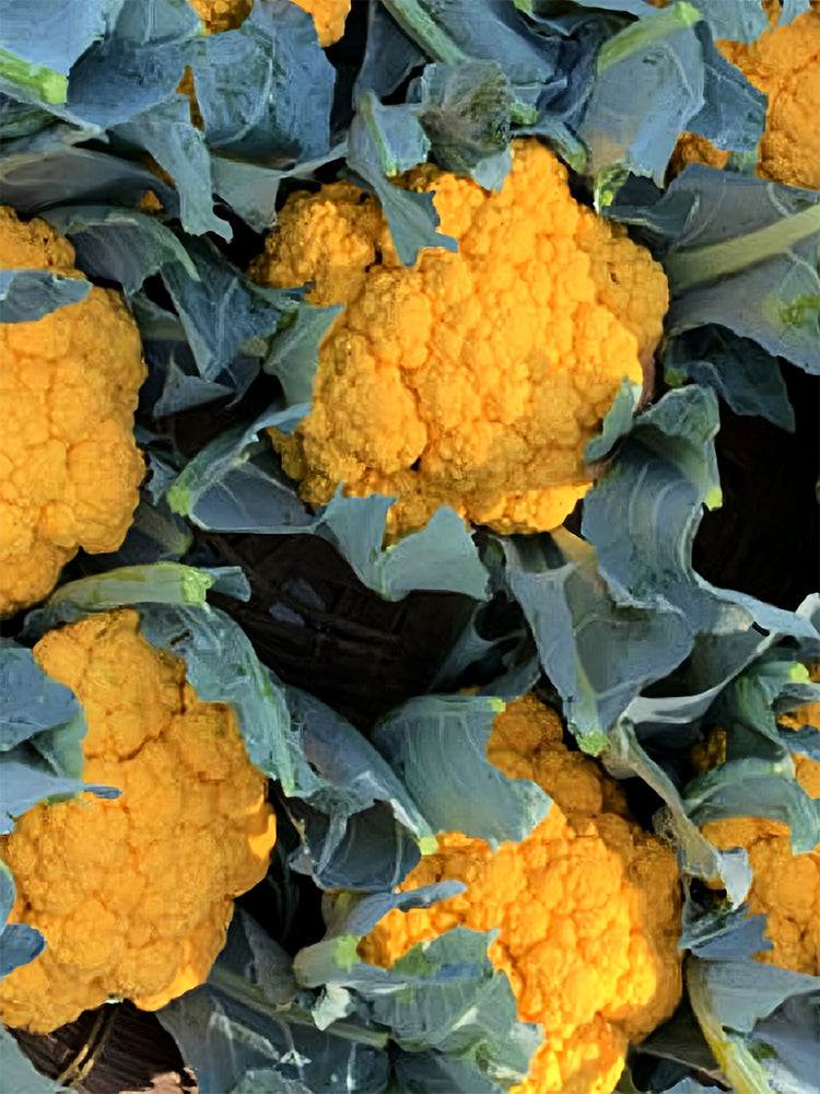 Cauliflower, Colourful Varieties