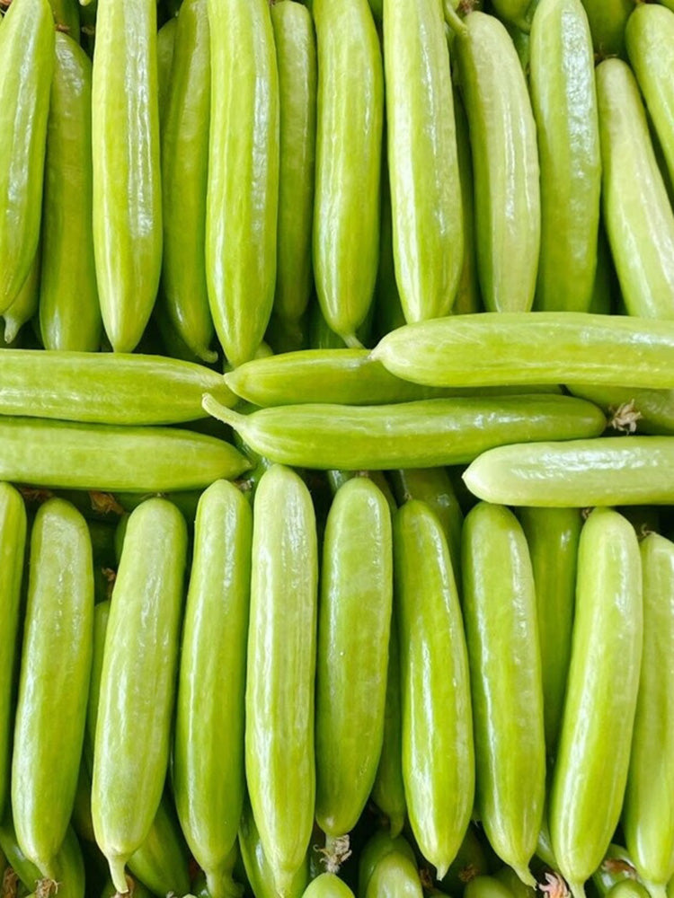 Crispy Jade Fruit Cucumber