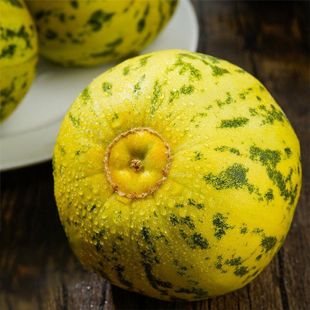 5 Bags (50 Seeds / Bag) of 'Flower Fairy' Melon Seeds, Hybrid F1 Aromatic Sweet Melon