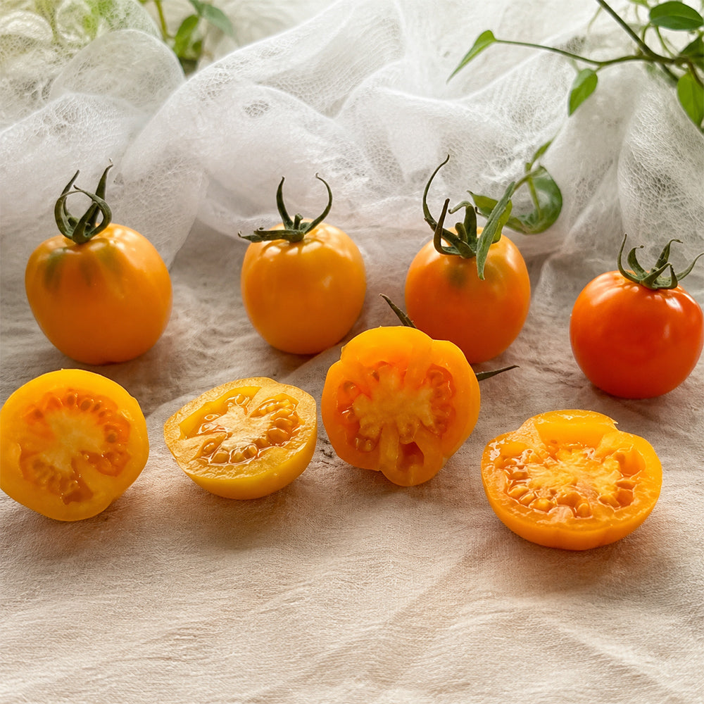 710 Marchensnack Tomato