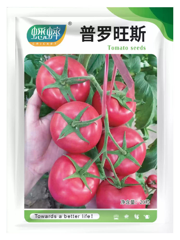 Provence Tomato