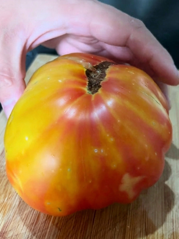 Hillbilly Potato Leaf Tomato