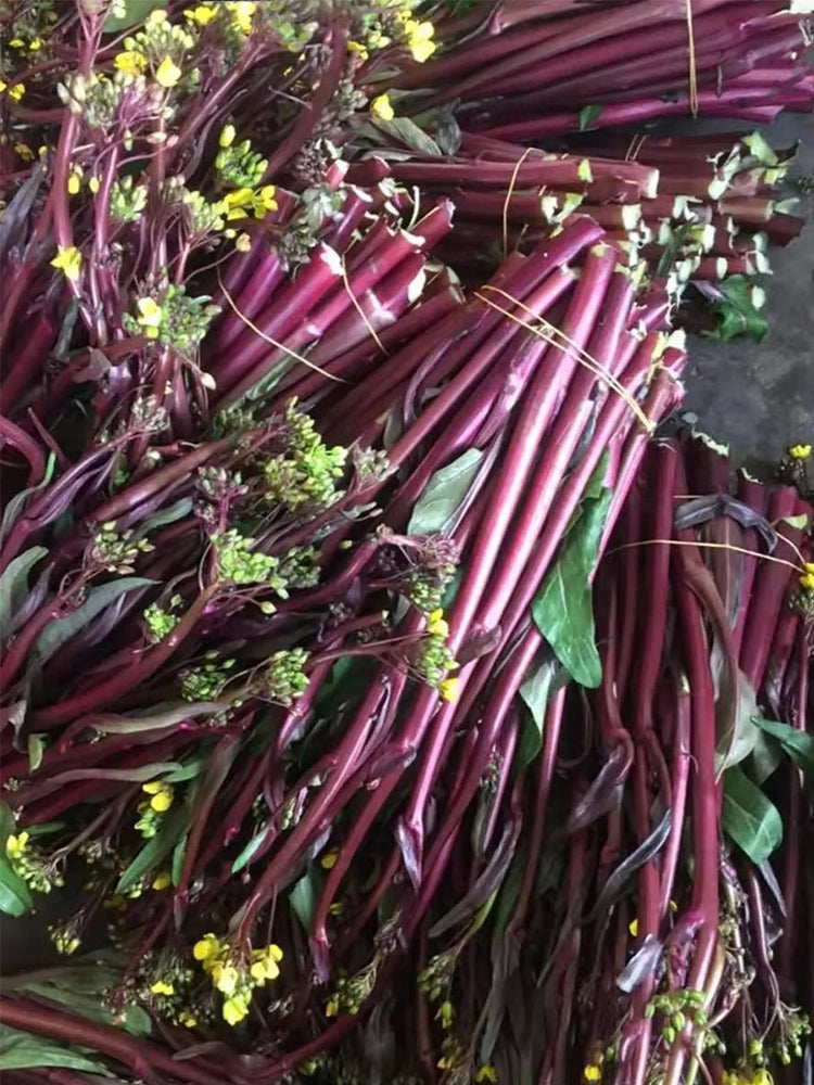 Xishuai Purple Stem Mustard