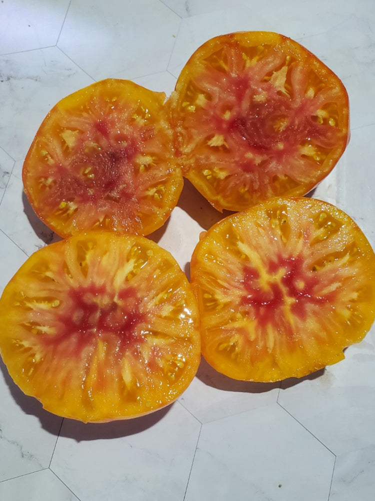'Chupa Chups' Tomato