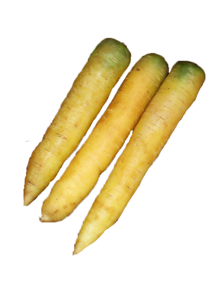 Dutch Yellowstone Carrot