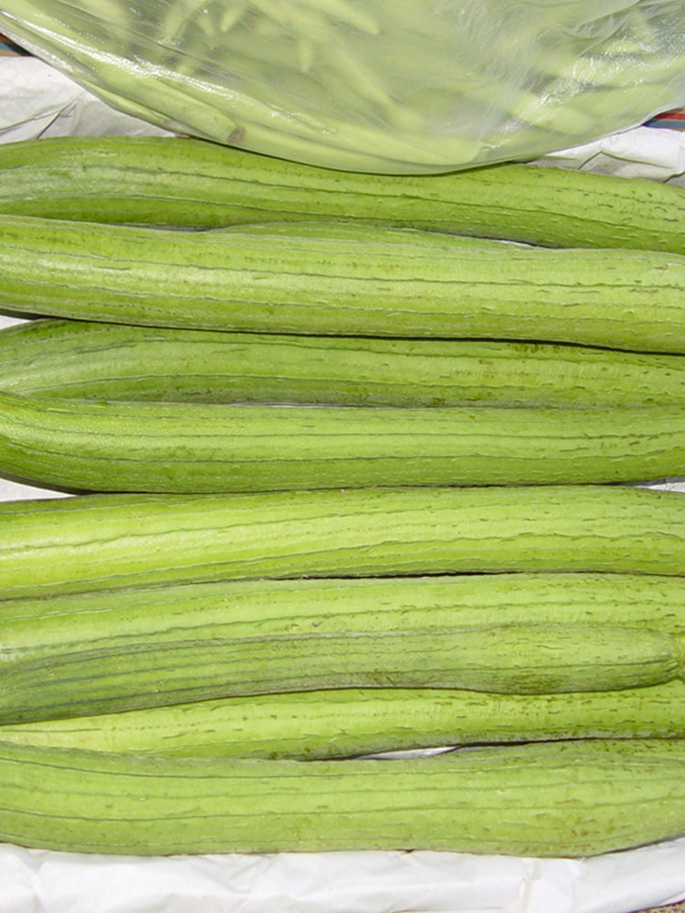 Long Fragrant Luffa