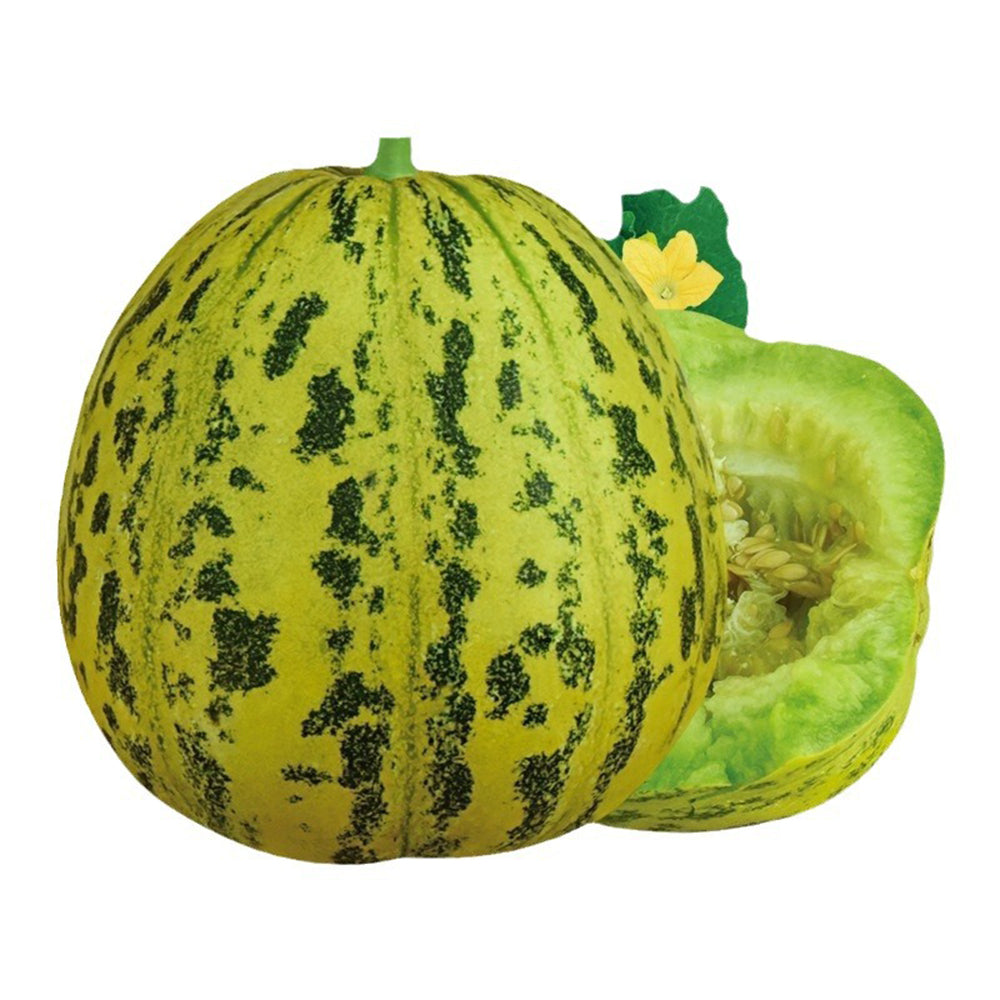 5 Bags (50 Seeds / Bag) of 'Flower Fairy' Melon Seeds, Hybrid F1 Aromatic Sweet Melon
