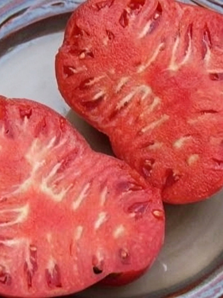 1061 Butter Oxheart Tomato