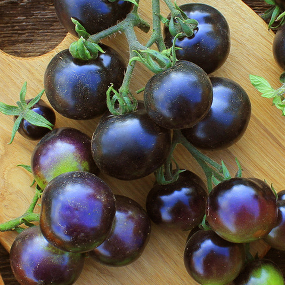 Gourmet Gardening: 5 Bags of Premium 'Black Pearl' Series Black Tomato Seeds