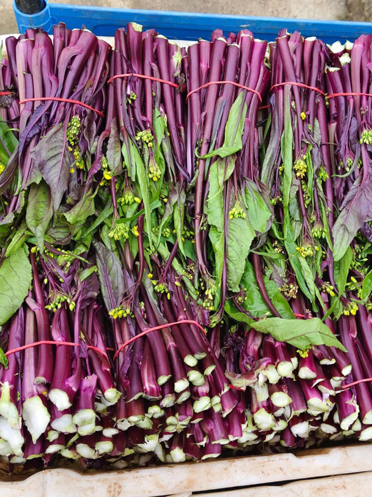 Xishuai Purple Stem Mustard