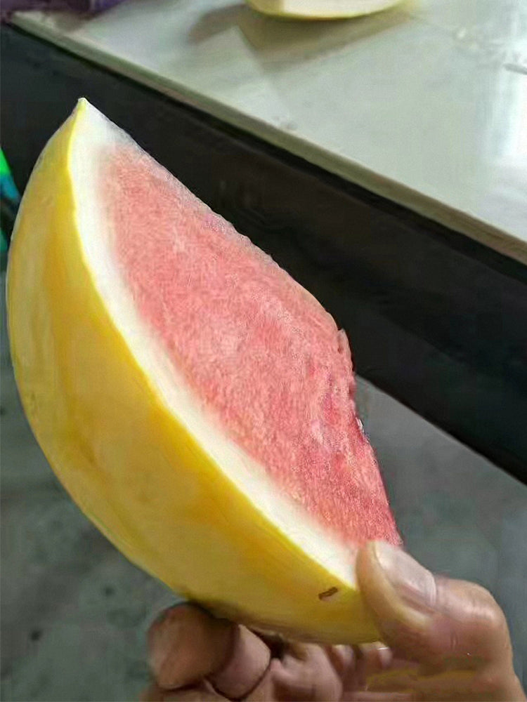 Golden No.3 Watermelons