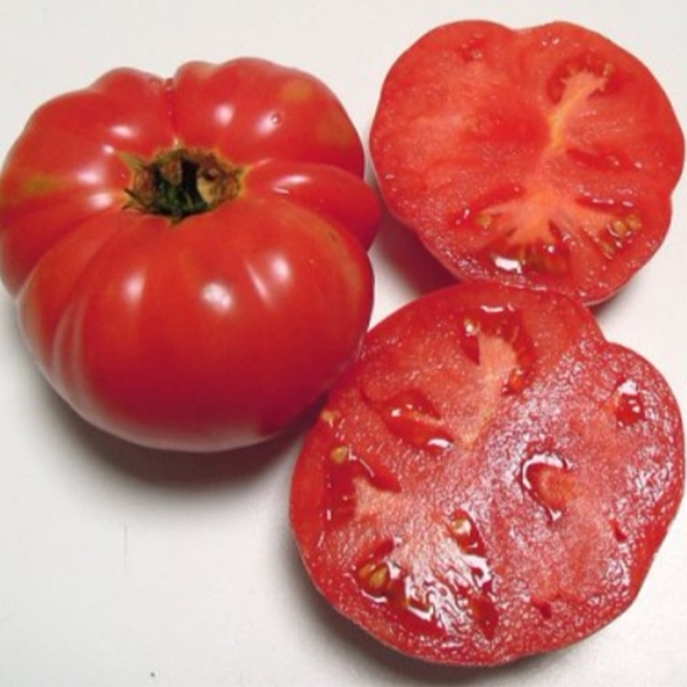 259 Sweet Adelaide Tomato