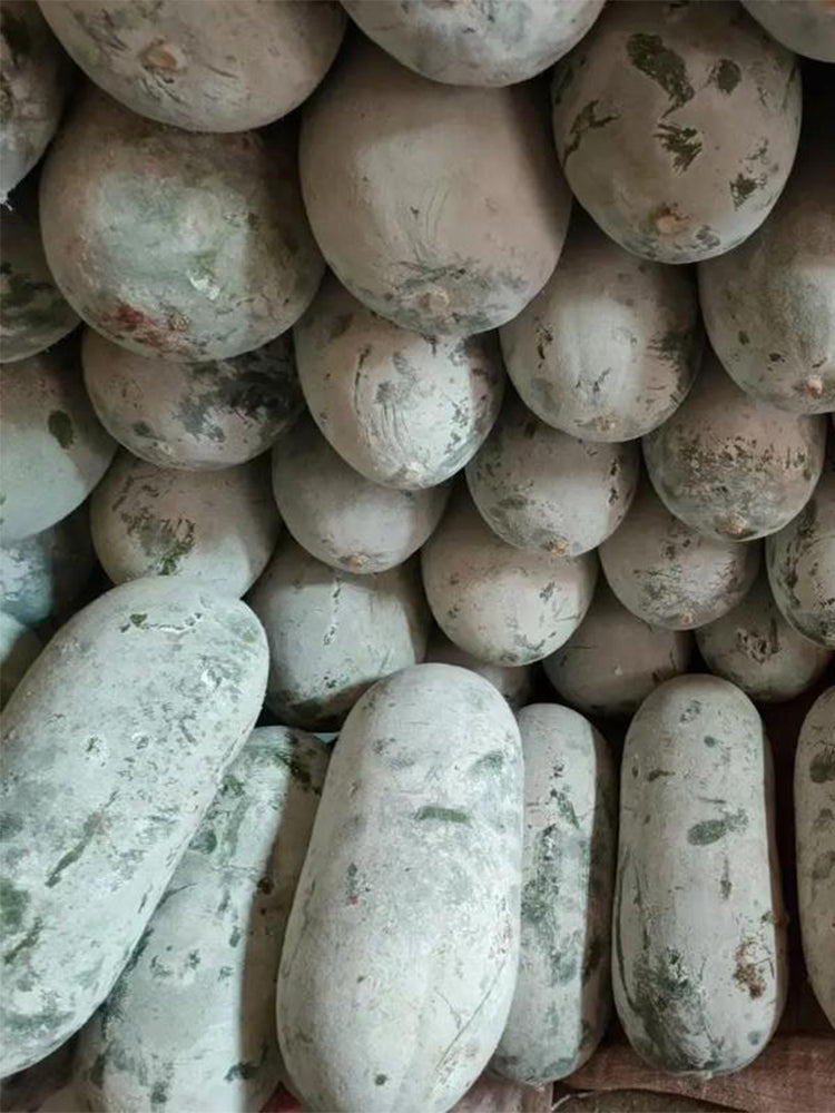 Fenbailong Wax Gourds