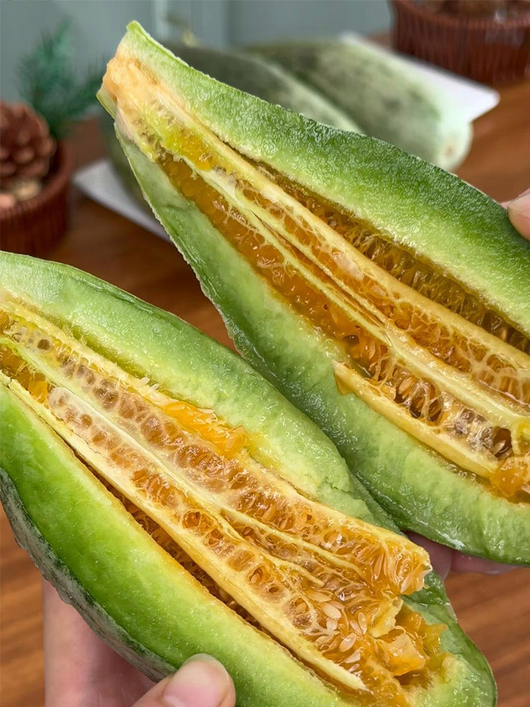 Flying 61' Yangjiao Melon