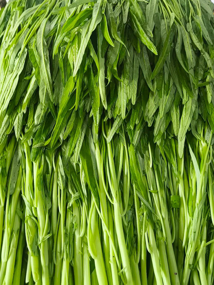 Meifeng No.1 Water Spinach