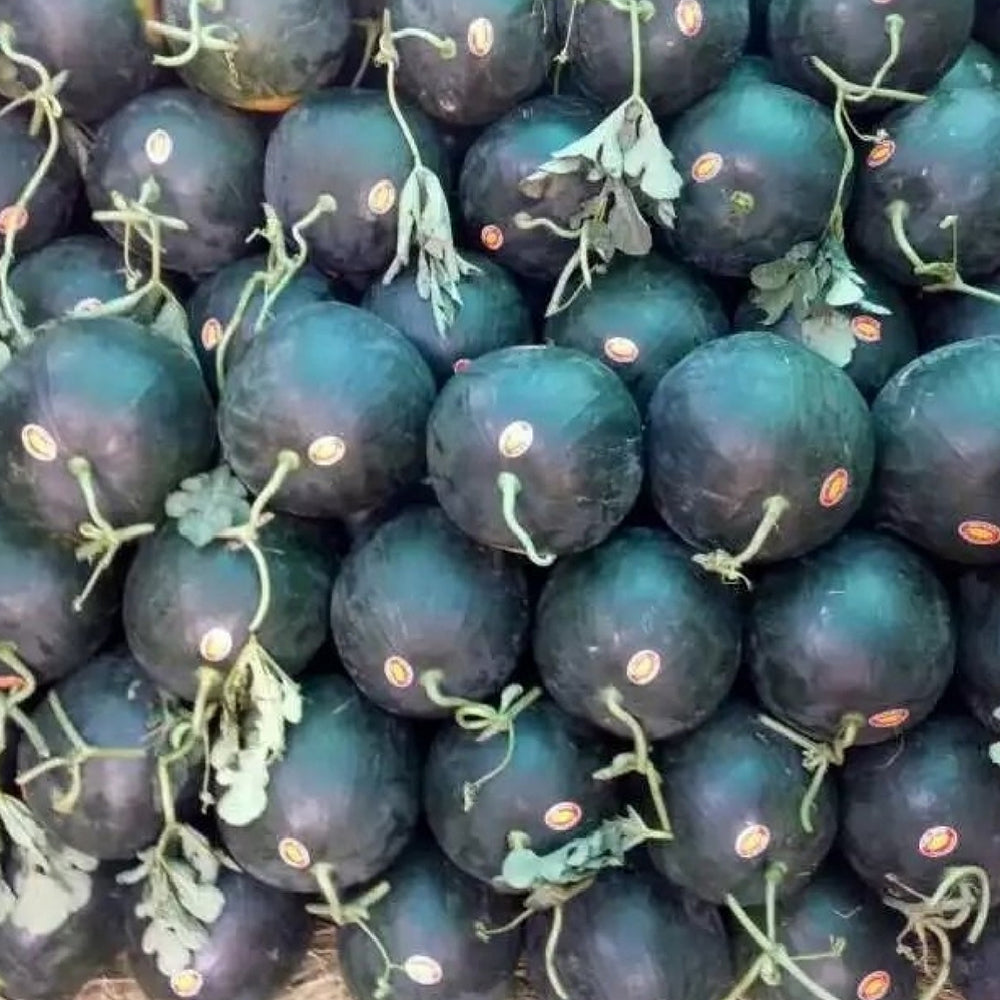 5 Bags (25 Seeds / Bag) of Black Landmine' Series Watermelon Seeds