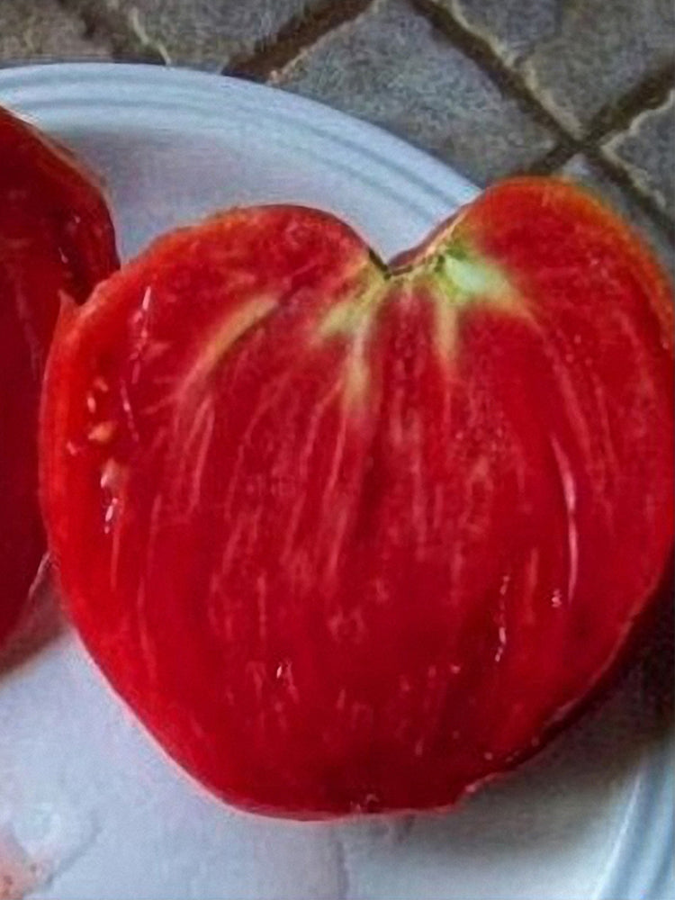 Russian Pink Oxheart Tomatoes