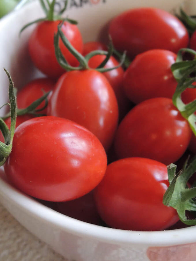 Fen Meina Cherry Tomato