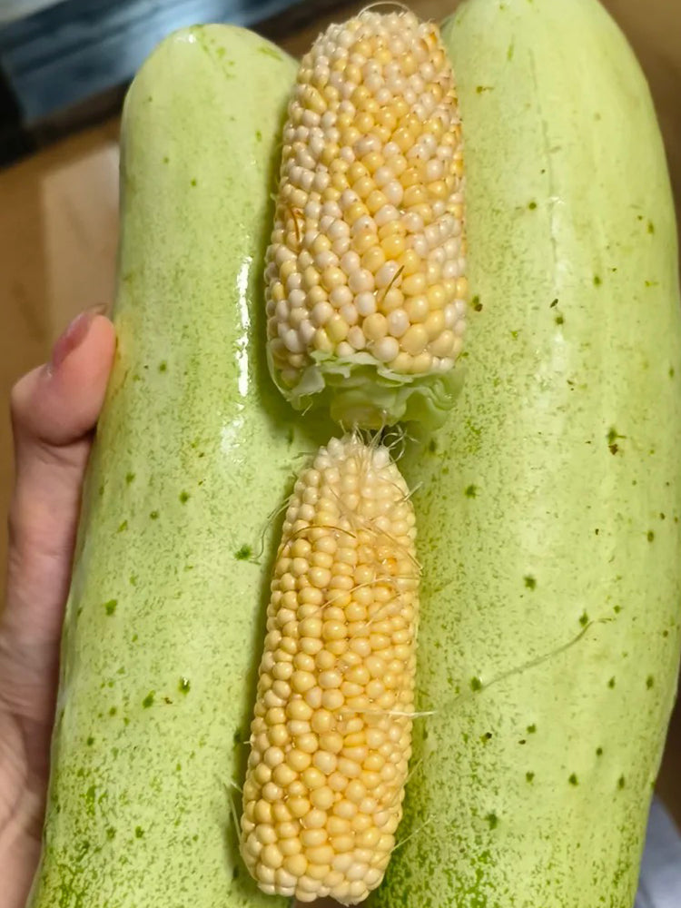 Mini 'Strawberry' Yellow Corn