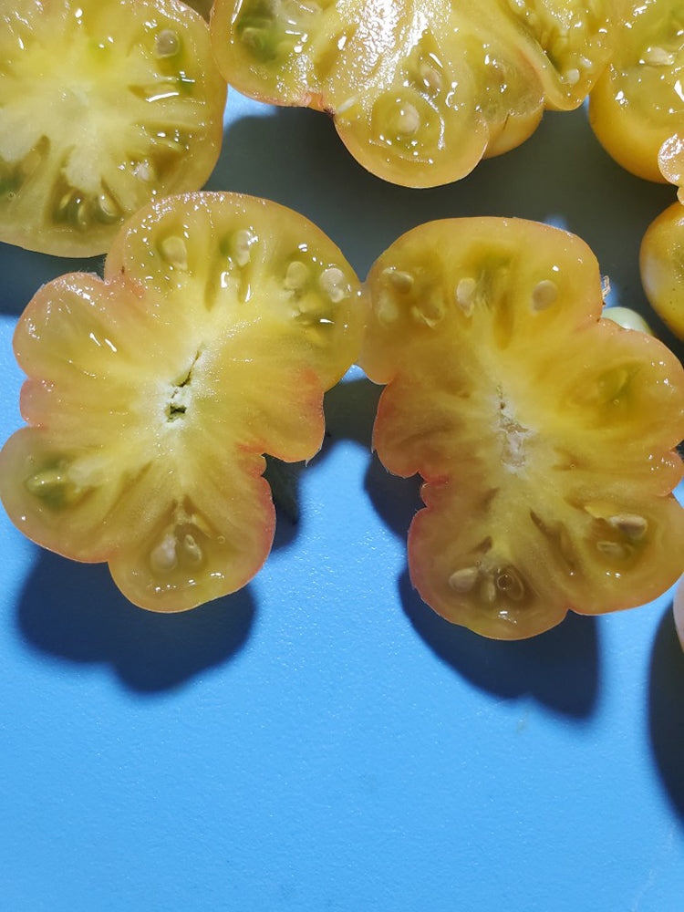 Dean's Chickie Cherry Tomato