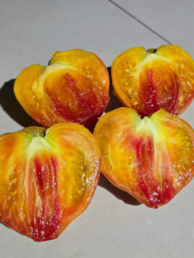 VT-16 Yellow Heart with Nose F2 Tomatoes