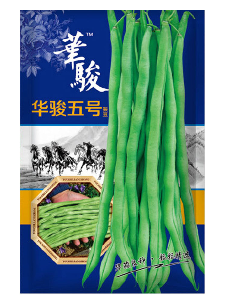 Huajun No.5 Snap Beans
