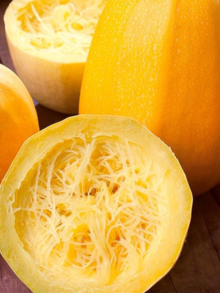 Paizha No.1 Spaghetti Squash