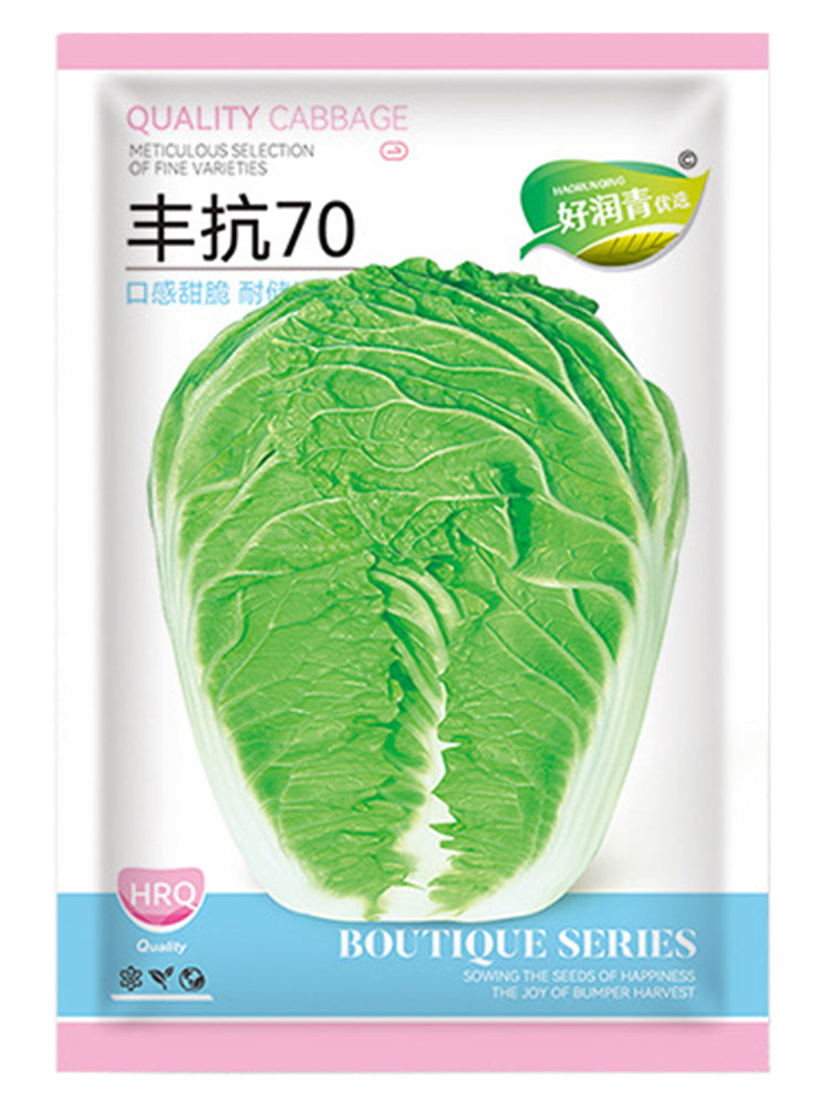 Fengkang 70 Chinese Cabbage
