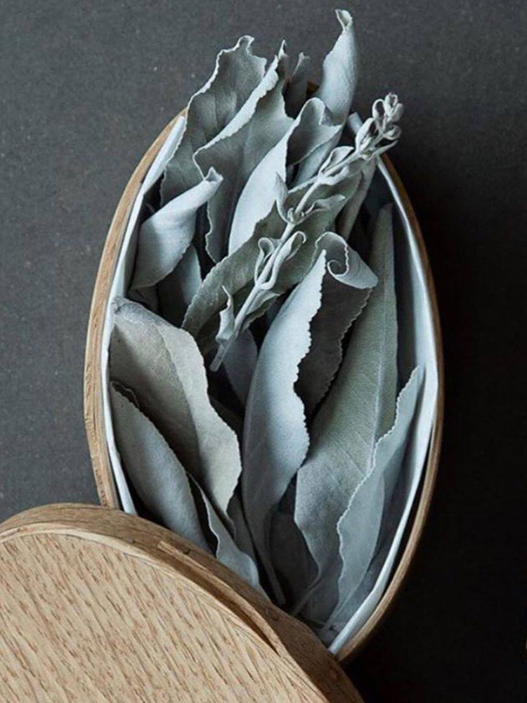 California White Sage