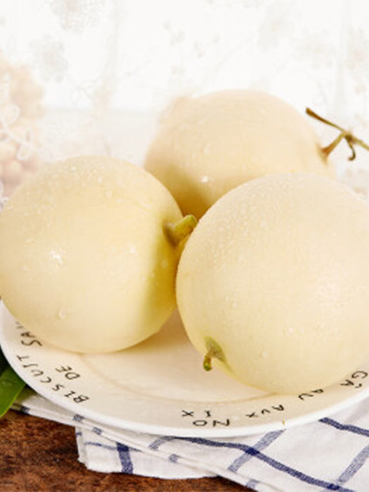 White Honey Melon