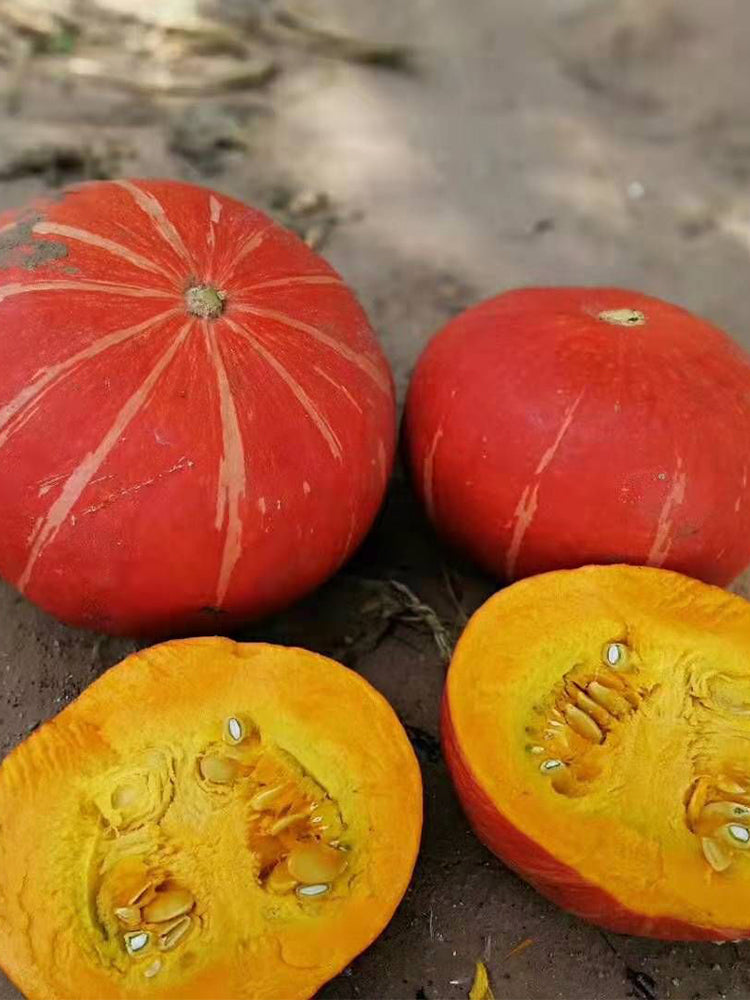 Golden No.2 Pumpkins