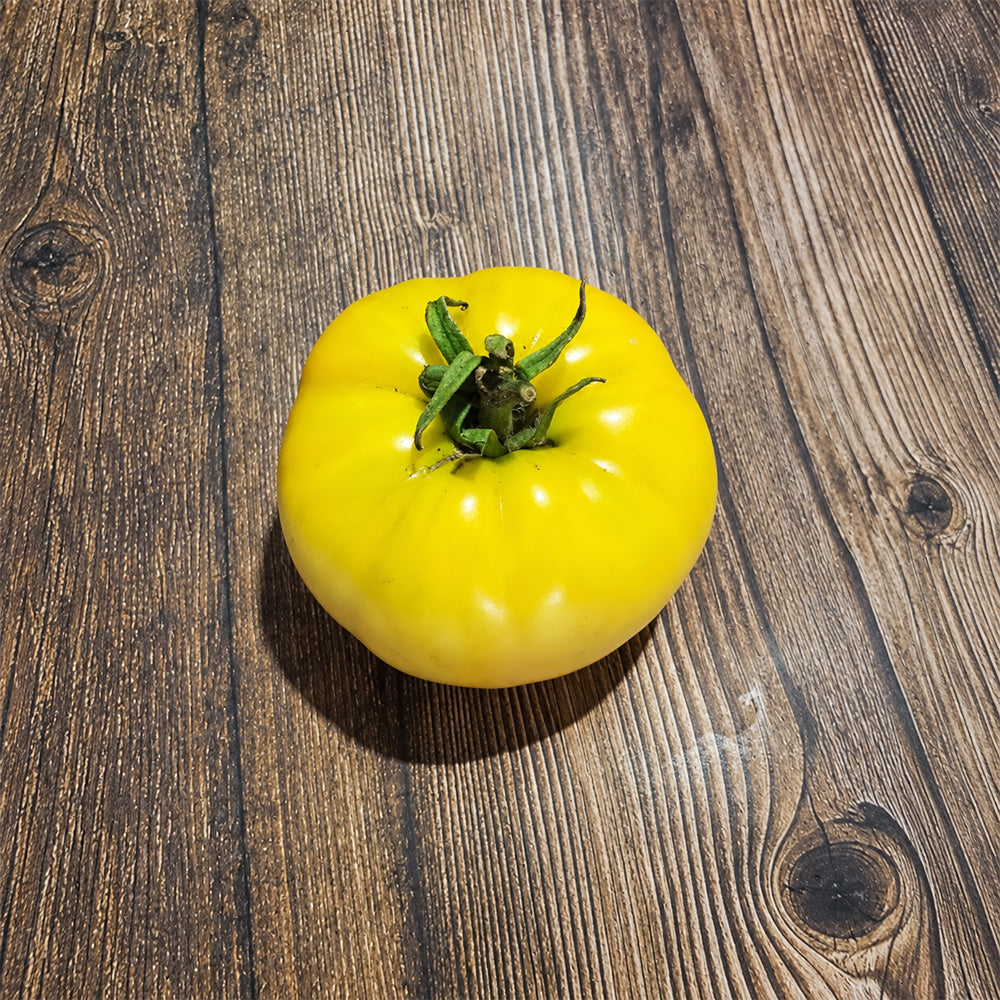 282 Weary Sun Tomato