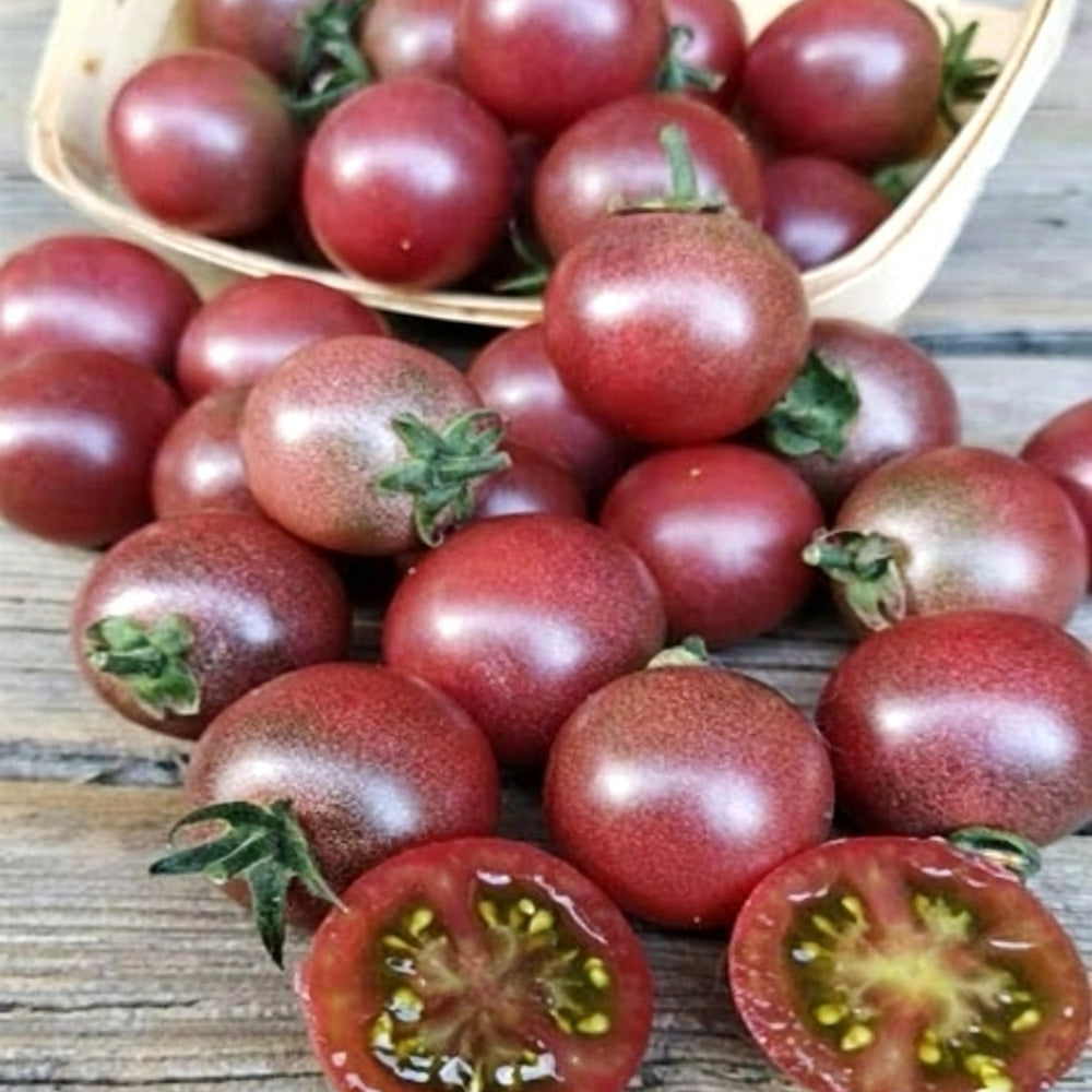 610 Reinhard Kraft's Purple Sugar Cherry Tomato