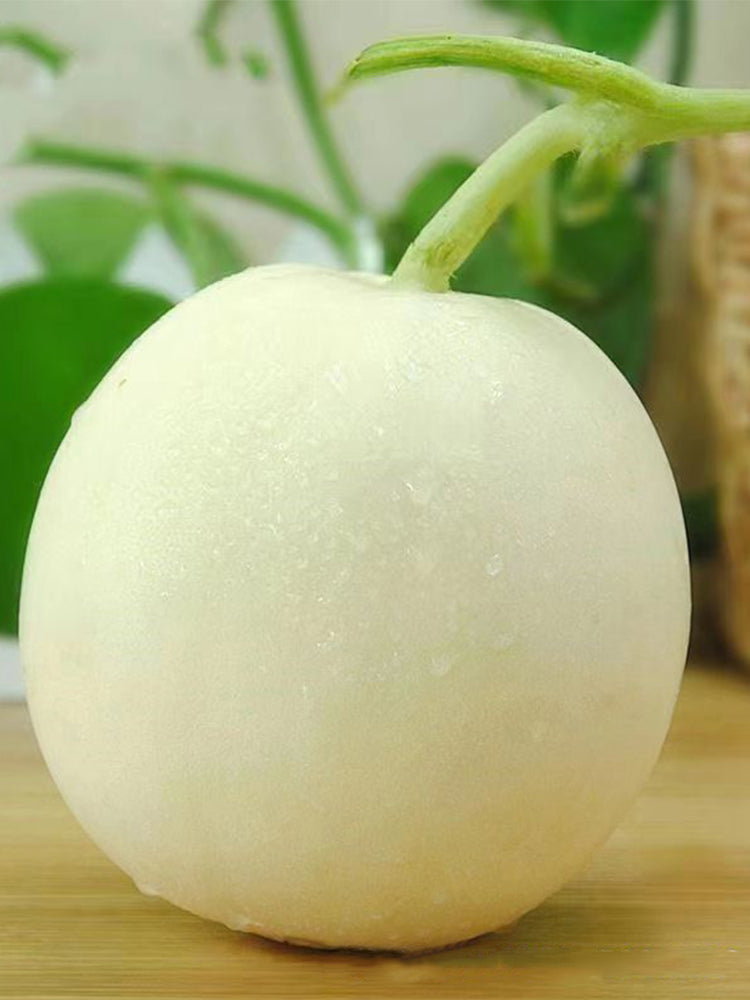 Baisha Honey Melon