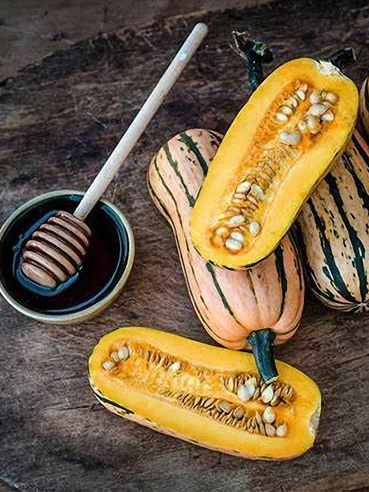 Honey Boat Delicata Squash