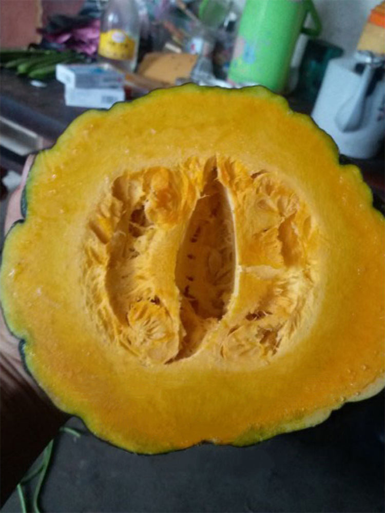 Thai 'Gold Coin' Pumpkins