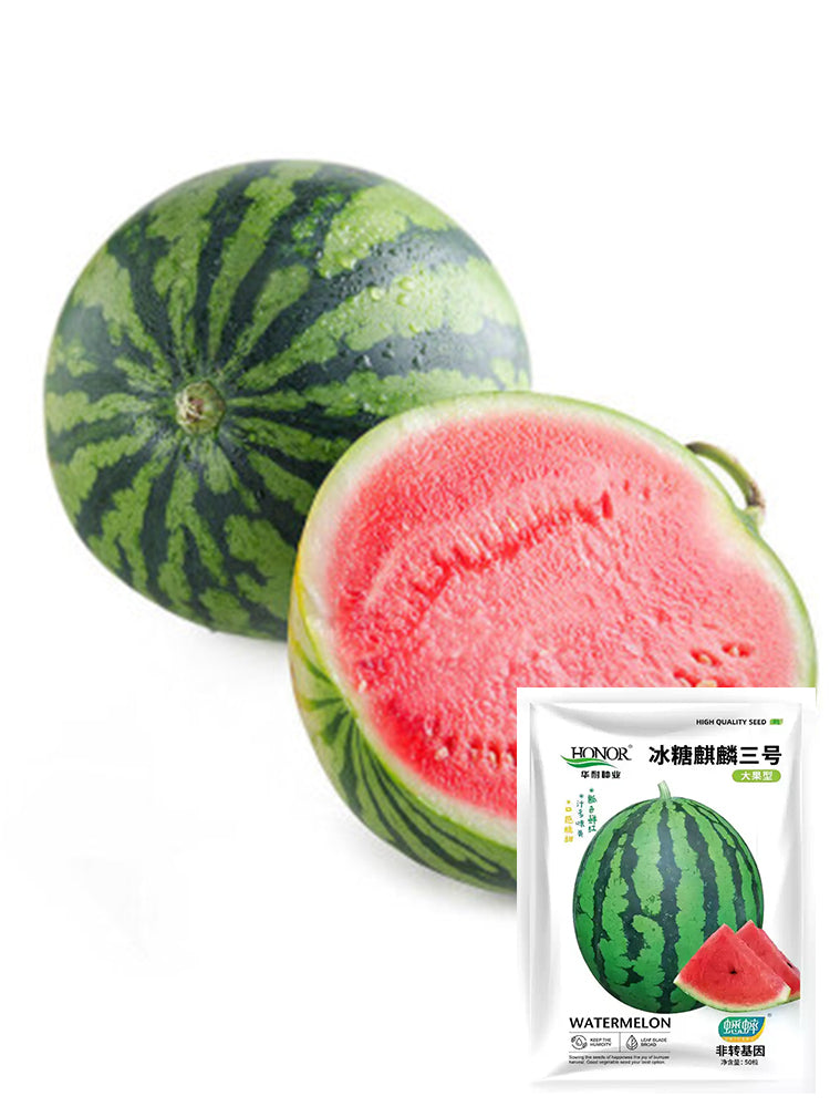 Rock Sugar Kirin No.3 Watermelons