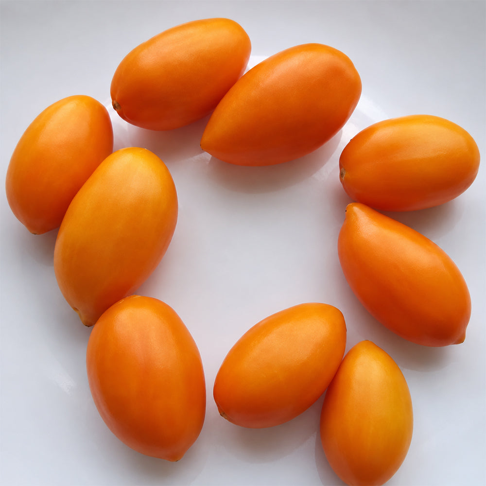 188 Foxy (Lisichka) Tomato