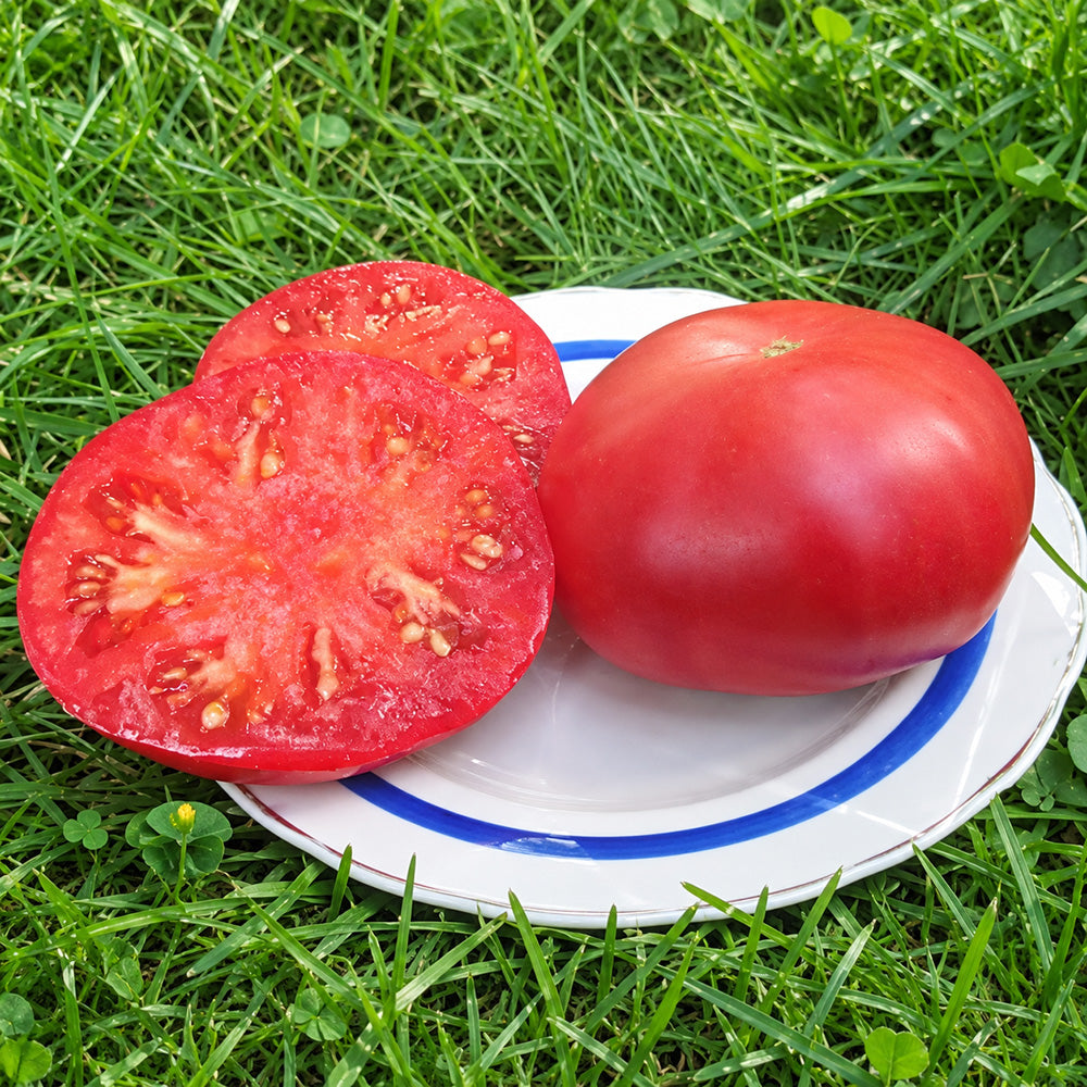 200 Dwarf Zoe's Sweet Tomato