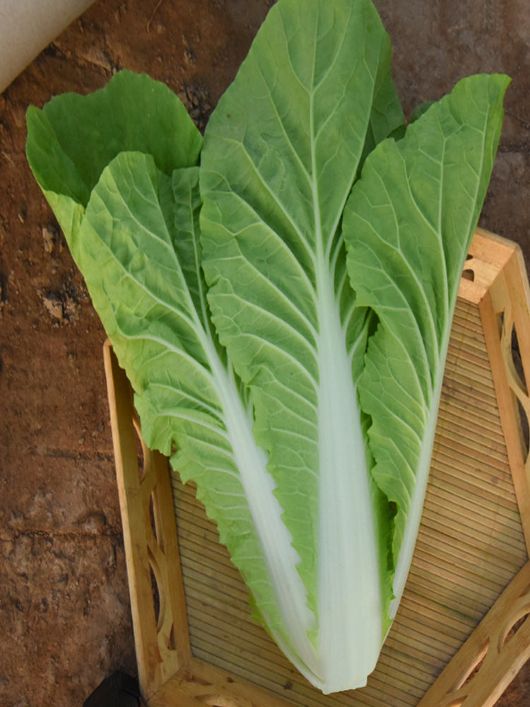 Creamy Baby Bok Choy
