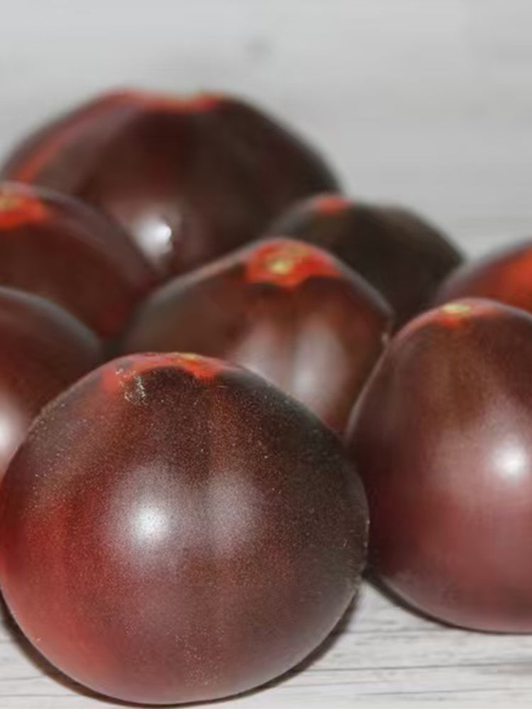 913 Sylvia's Black Flame Tomato