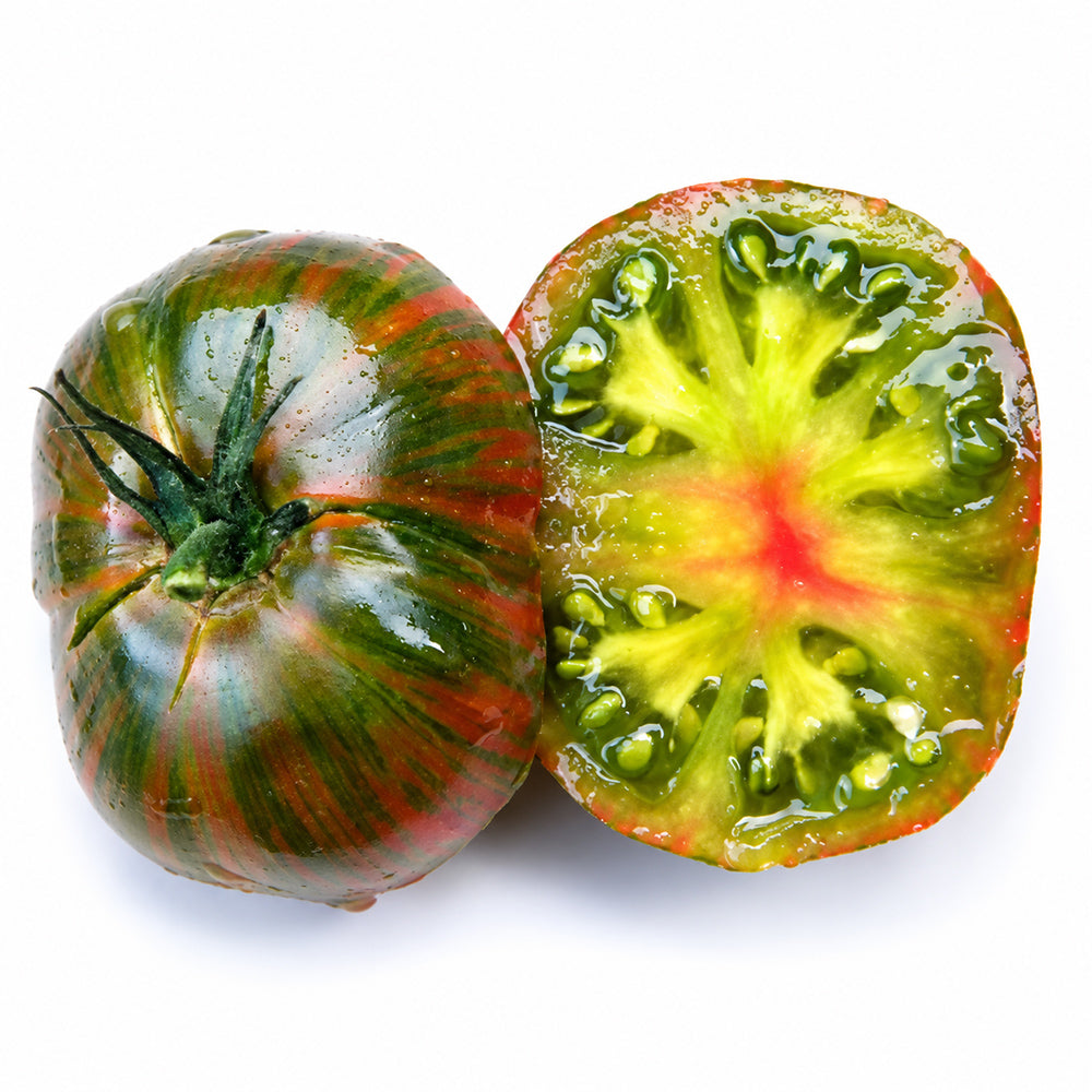 174 Aftershock Dwarf Tomato