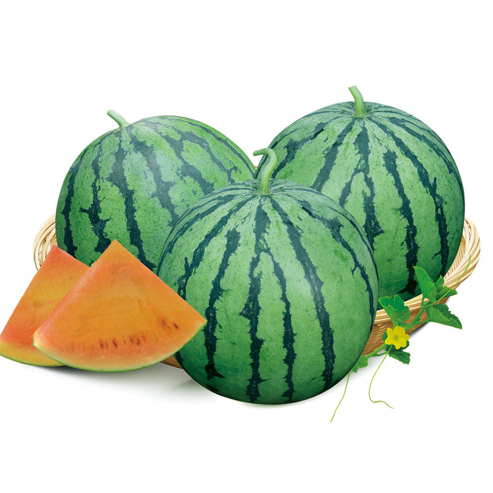 5 Bags (20 Seeds / Bag) 'Rainbow Ice Cream' Series Watermelon Seeds