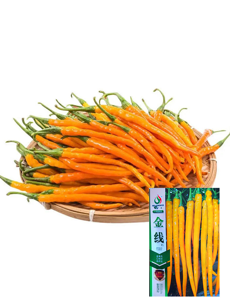 Huangdi Linear Chili Pepper