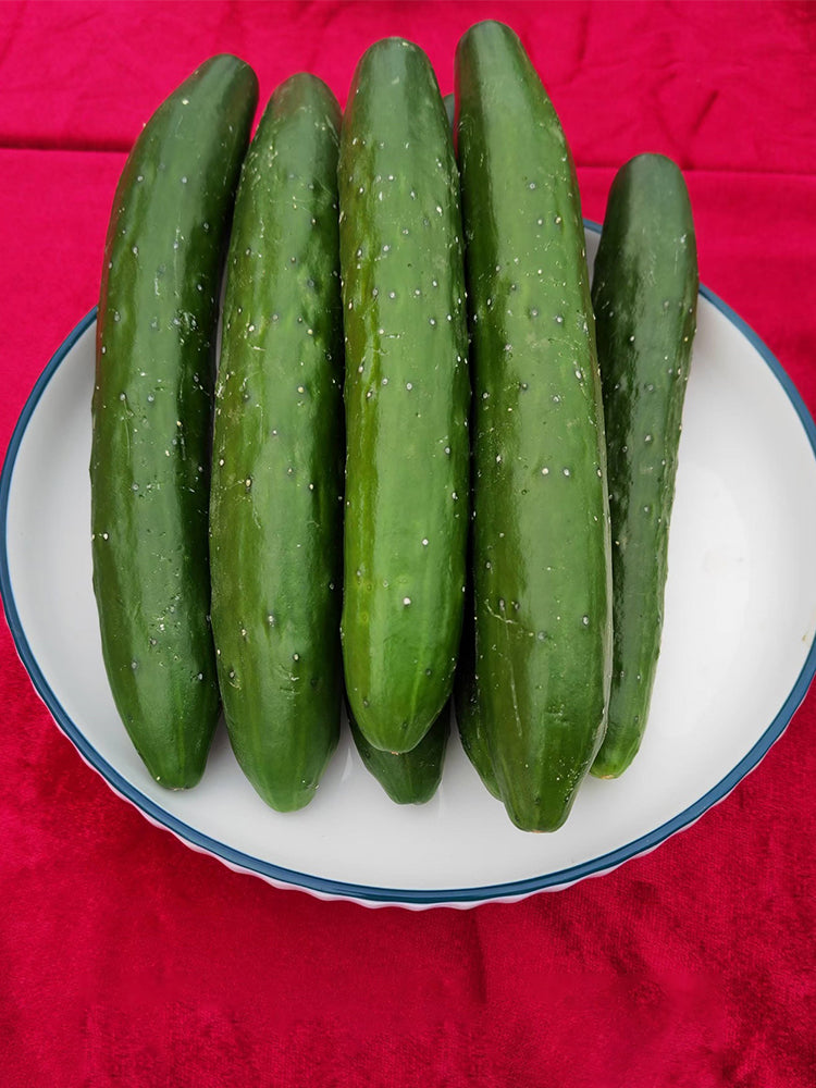Guangliang No.74 Fruit Cucumbers