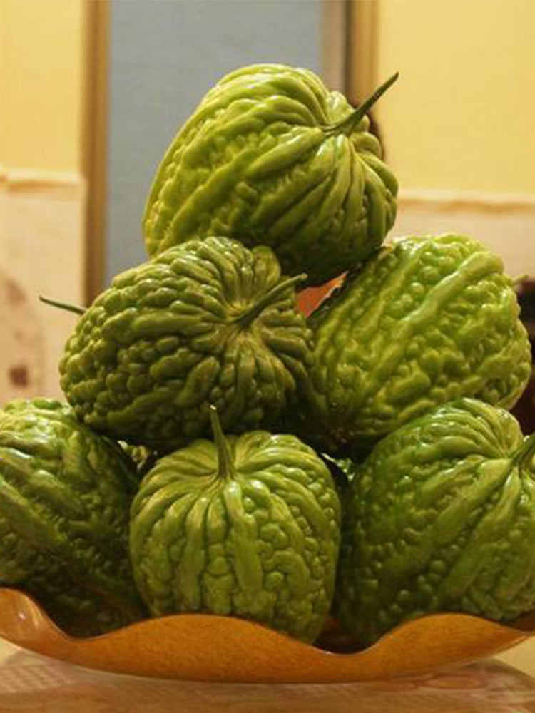 Huading No.5 Broad-top Bitter Gourds