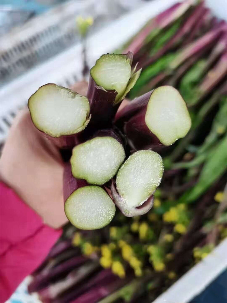 Xishuai Purple Stem Mustard